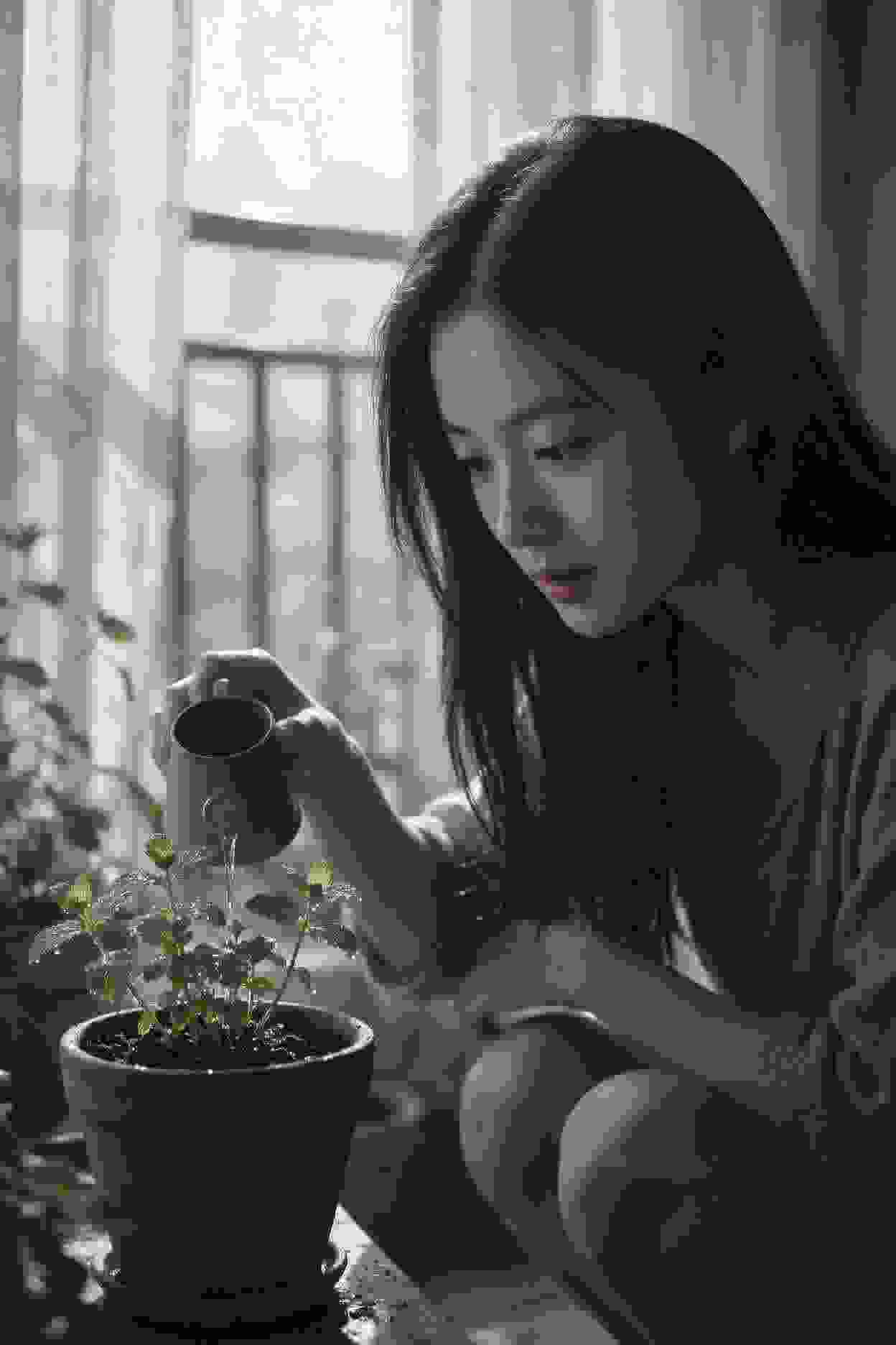 食戟之灵